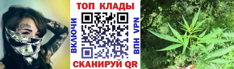Продажа наркотиков Курчалой Конопля  АМФ  Гашиш  NBOMe  КОКАИН  Героин 