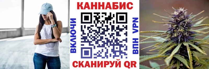 как найти закладки  Курчалой  Каннабис семена 